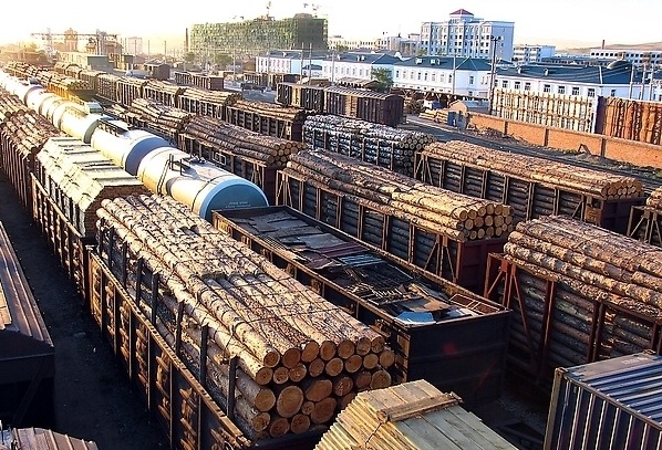 木材進(jìn)口 全球采購的必備攻略與市場趨勢分析